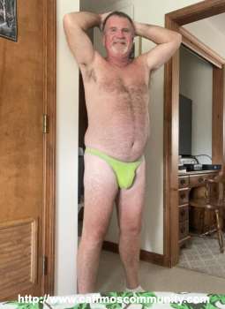 Wayne66 - Spain